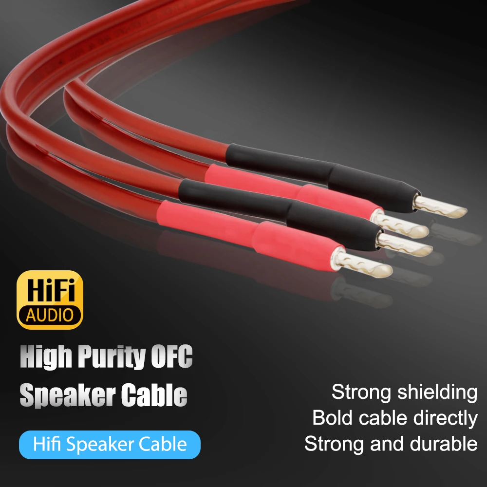 1 Pair Speaker Cable High-End  - Home Cinema Dvd System บทวิจารณ์และราคา